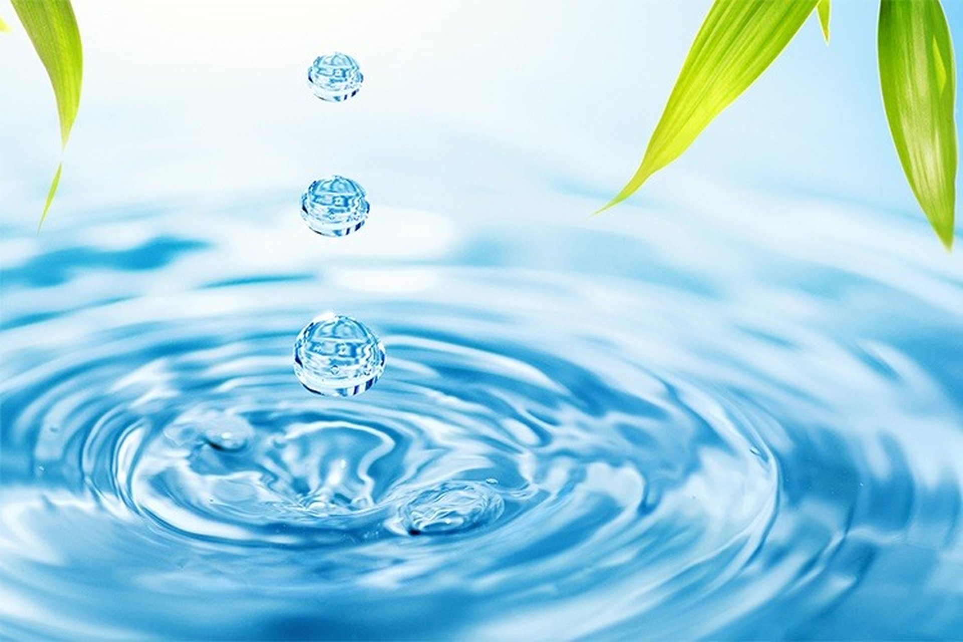 Máy tạo nước Ion kiềm Waco – Lựa Chọn Sức Khỏe Từ Thiên Nhiên!